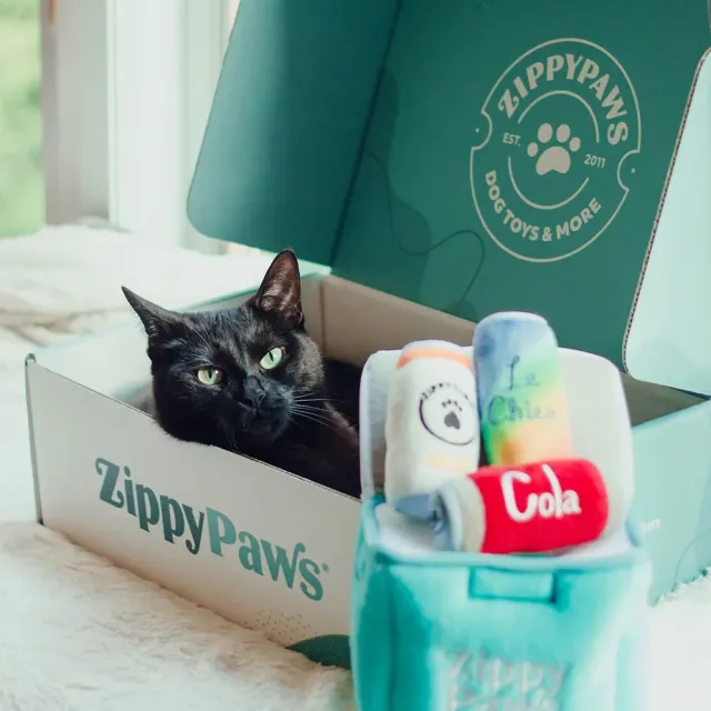 【ZippyPaws】歡樂時光瓶-迷你汽水(貓玩具推薦 寵物玩具 貓草玩具)