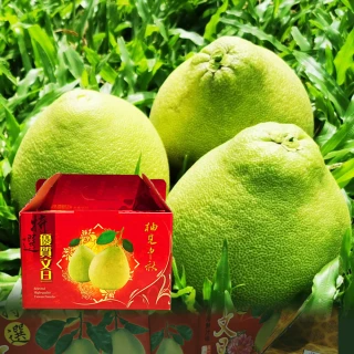 【台灣紅】鶴岡50年老欉特級文旦10斤x1盒(7-12顆/10斤/中秋禮盒_中秋柚子)