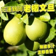 【台灣紅】鶴岡50年老欉特級文旦10斤x1盒(7-12顆/10斤/中秋禮盒_中秋柚子)