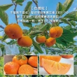 【初品果】摩天嶺高山9A甜柿特大顆12顆x1箱/禮盒(300g/顆_中秋禮盒_產地直送_大宗採購)