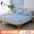 【ISHUR 伊舒爾】買1送1 乳膠冰絲涼蓆墊 贈同款枕頭套(單人 雙人 加大 均一價 涼感墊 野餐墊 速達)