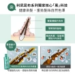 買1送1【Sastty】利尻昆布白髮用泡沫染髮露200ml(3色任選/植萃成分/上色均勻不留白)