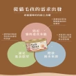 【星丘 STAR MONT】流星肉絲主食貓罐 24入x3箱(貓罐頭 主食罐 全齡適用 多種口味)