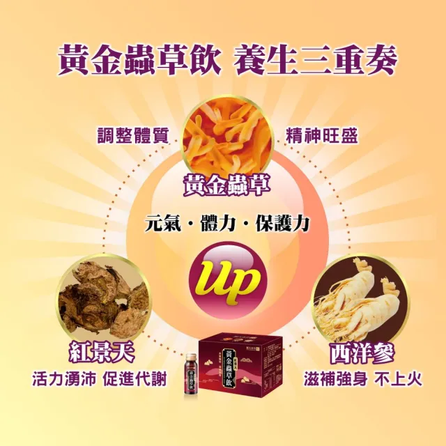 【順天本草】黃金蟲草飲6入/盒X3(紅景天、蛹蟲草子實體、粉光參)