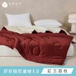 【青鳥家居】石墨烯恆溫好好睡奶蓋被3.0/2件組(棉被/冬被/抗菌/石墨烯)