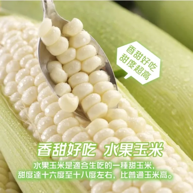 【WANG 蔬果】日本品種水果玉米10斤x1箱(農民直配)