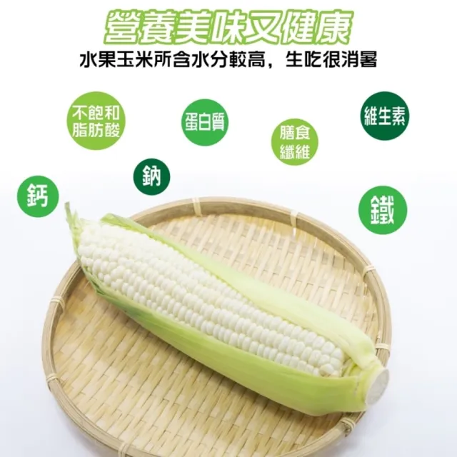 【WANG 蔬果】日本品種水果玉米10斤x1箱(農民直配)
