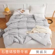 【日禾家居】買一送一 石墨烯保暖水洗被2.5KG 棉被 冬被(雙人180X210cm 多色選)