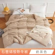【日禾家居】買一送一 石墨烯保暖水洗被2.5KG 棉被 冬被(雙人180X210cm 多色選)