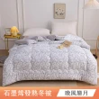 【日禾家居】買一送一 石墨烯保暖水洗被2.5KG 棉被 冬被(雙人180X210cm 多色選)