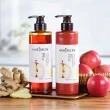 【Hair Recipe】洗髮精/護髮潤髮乳530mlx5 (髮的食譜/髮的料理/生薑清茶新上市)