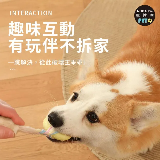 【摩達客】狗狗磨牙紓壓咬咬玩具三件A組(解悶趣味潔齒 自嗨耐咬寵物玩具)