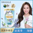 【SNUGGLE】熊寶貝天然溫和護衣芳香豆補充包 300ml 8入組(藍風鈴/梔子花白茶/玫瑰茉莉/鼠尾草海鹽/青檸)