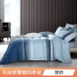 【日禾家居】買一送一 萊賽爾天絲涼感涼被(150X200cm 多款挑) 涼被/冷氣毯