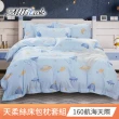 【MIT iLook】超值2入 台灣製優質萊賽爾天柔絲床包枕套組(雙人-多款花色可選)