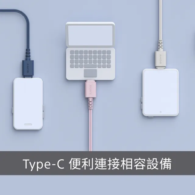 【SONY 索尼】Type-C 有線入耳式耳機 IER-EX15C(公司貨 保固 12 個月)