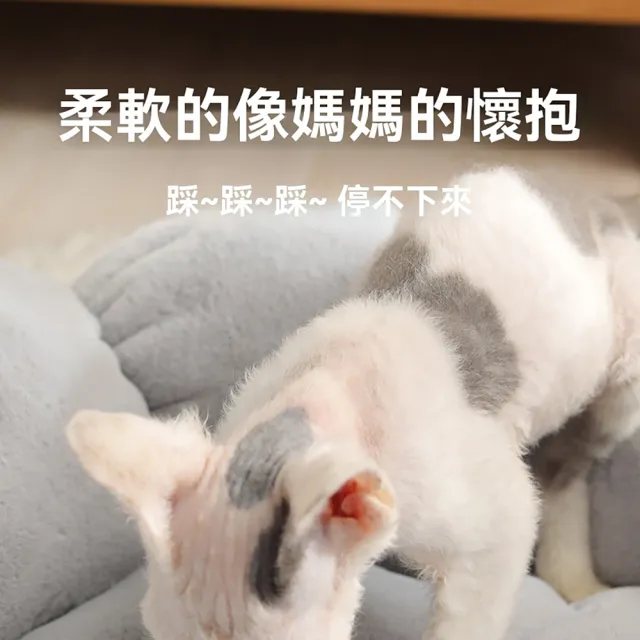 【kingkong】花朵毛絨保暖寵物窩 40cm(寵物床墊/狗窩睡窩/貓窩)