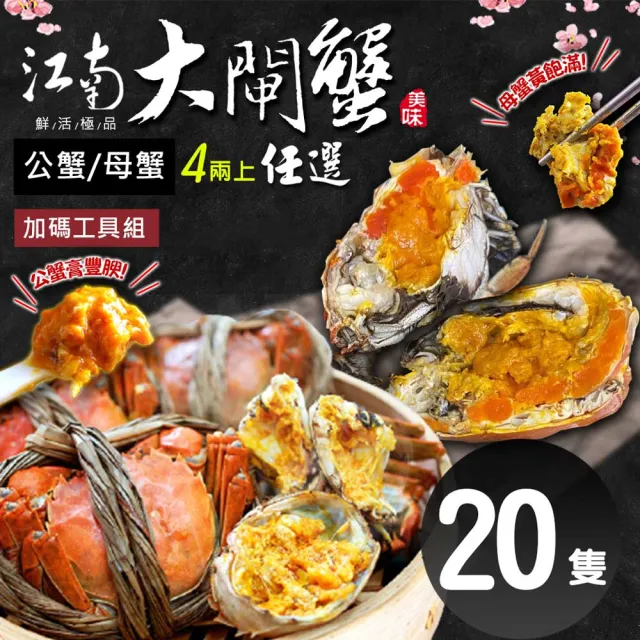 【築地一番鮮】(公母任選)4兩上大閘蟹 20隻組/贈工具組/江南大閘蟹