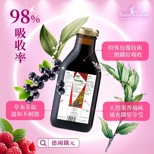 【歐洲屋】德國草本液-Floradix鐵元1入組(共250ml-植物液態鐵)
