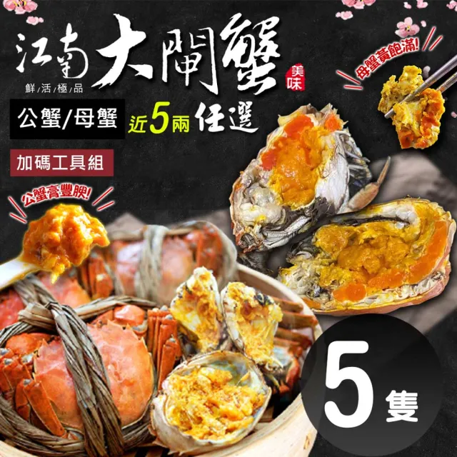 【築地一番鮮】(公母任選)近5兩大閘蟹 5隻組/贈工具組/江南大閘蟹