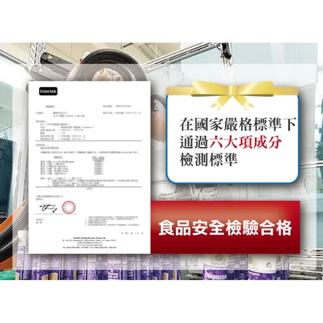 【SUNLIFE 森萊富】德國原裝發泡錠 20錠/盒 5盒組 口味任選(共100錠 鋅+C+E/鐵+C)