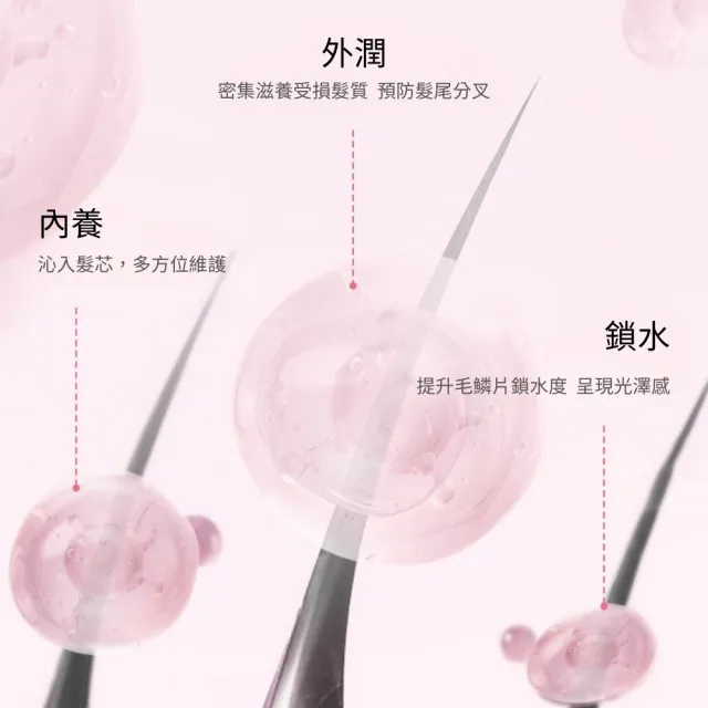 【iBloom】N5氨基酸洗護組合 800ml  3入組(72小時持香、深層清潔、護髮)