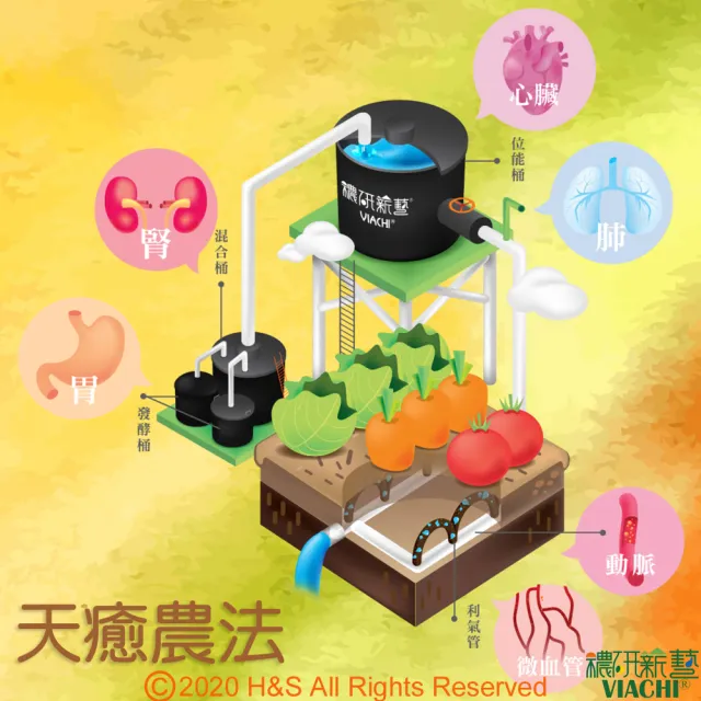 【穠研薪藝】台東長濱天癒五生胚芽米X1包組(3公斤/包)