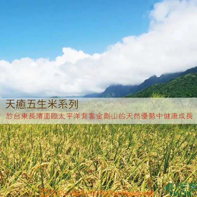 【穠研薪藝】台東長濱天癒五生胚芽米X1包組(3公斤/包)