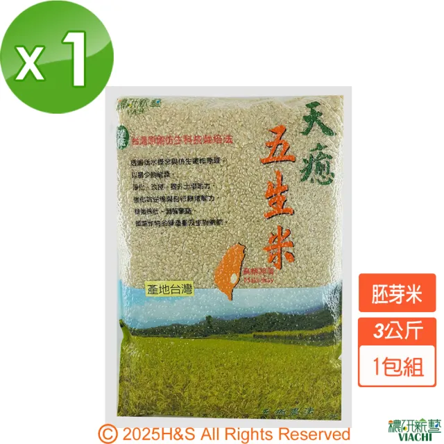 【2026】糙米推薦｜10款高評價人氣品牌排行榜 | BALIMAN情報局