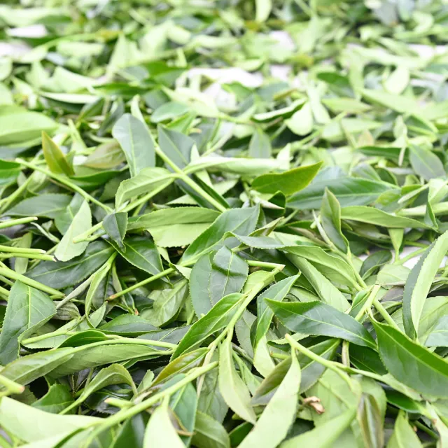 【方菩提】嚴選黃金烏龍茶75gx4包(共0.5斤 冠軍產區; 春茶 阿里山 茶葉贈禮)