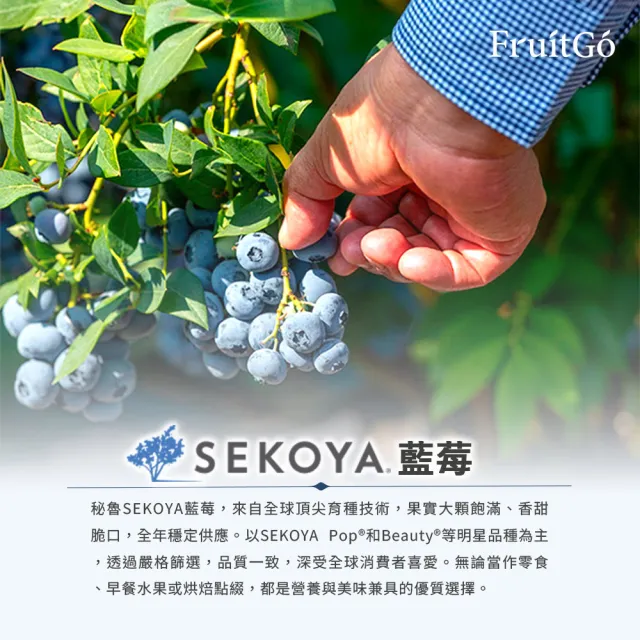 【FruitGo 馥果】祕魯 進口新鮮藍莓 18mm+巨無霸12盒*2箱(產地直送_水果禮盒送禮)