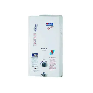 【TOPHOME 莊頭北工業】屋外型12公升_自然排氣型熱水器(AS-9538_含基本安裝)