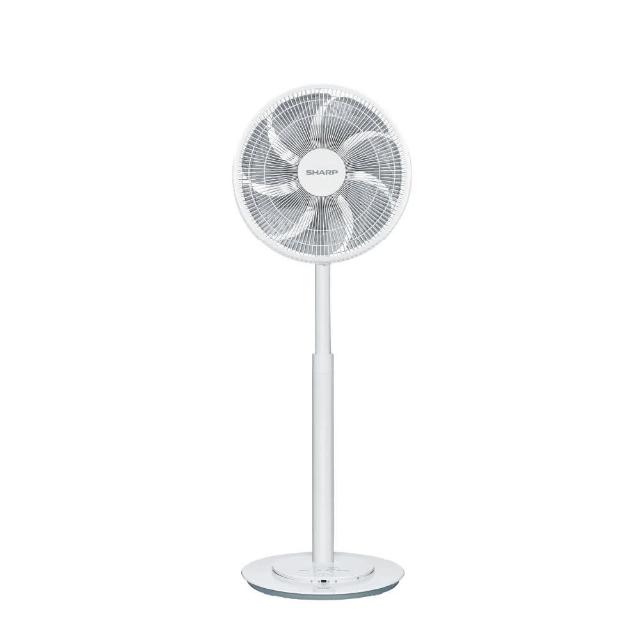 【SHARP 夏普】14吋 DC直流馬達遙控立扇(PJ-DC14GE)