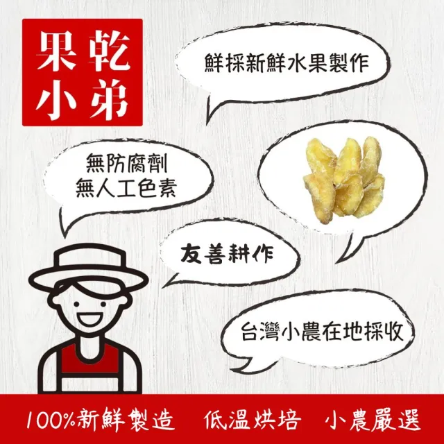 【果乾小弟】手作蘋果乾(果乾 台灣名產 果乾水  伴手禮)