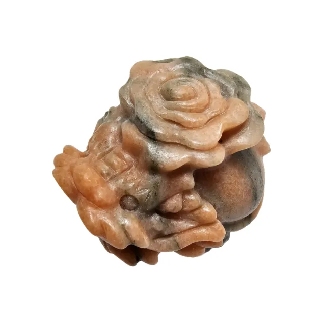 【藏古祥館】玫瑰龍龜 XA48(龍龜)