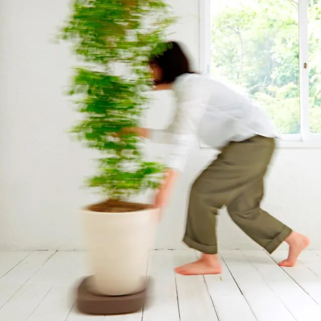 【HOME WORKING】TIDY可移動盆栽托盤-大(重物移動/附滾輪/質感美型)