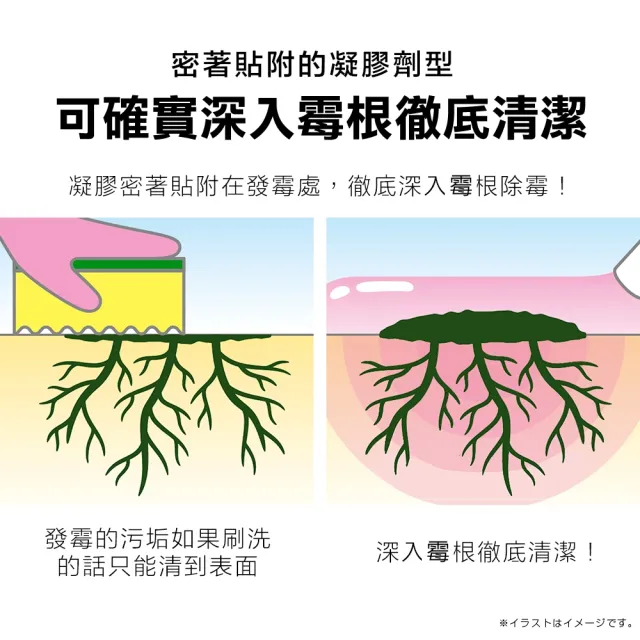 【Aimedia 艾美迪雅】專業用矽利康去霉凝膠80g/盒(讓發霉的矽利康時光倒流強效除霉膏)