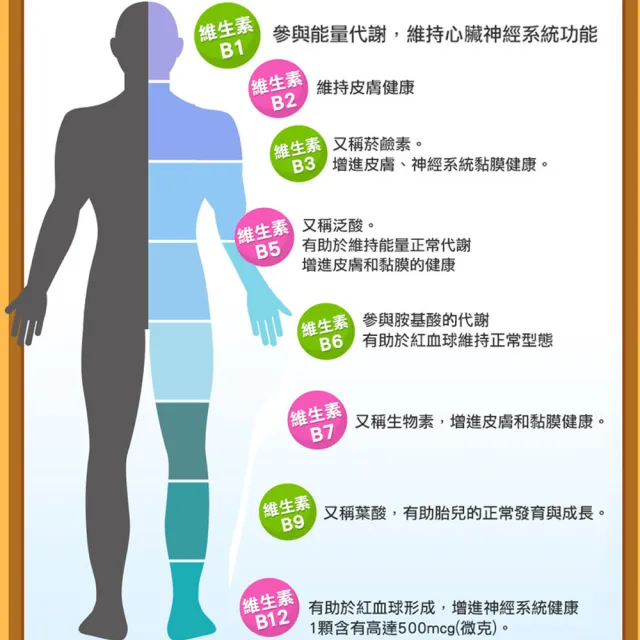 【永信藥品】活力B群糖衣錠30粒x5瓶(永信監製)