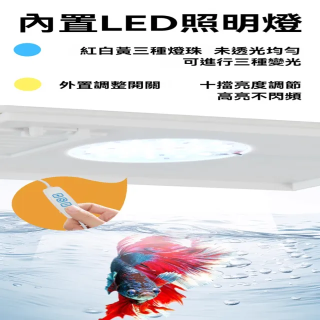 【星治】桌面魚缸 一體式側濾魚缸 制氧側濾一體免換水魚缸 預計10個工作天送達(長20*寬15*高15公分)