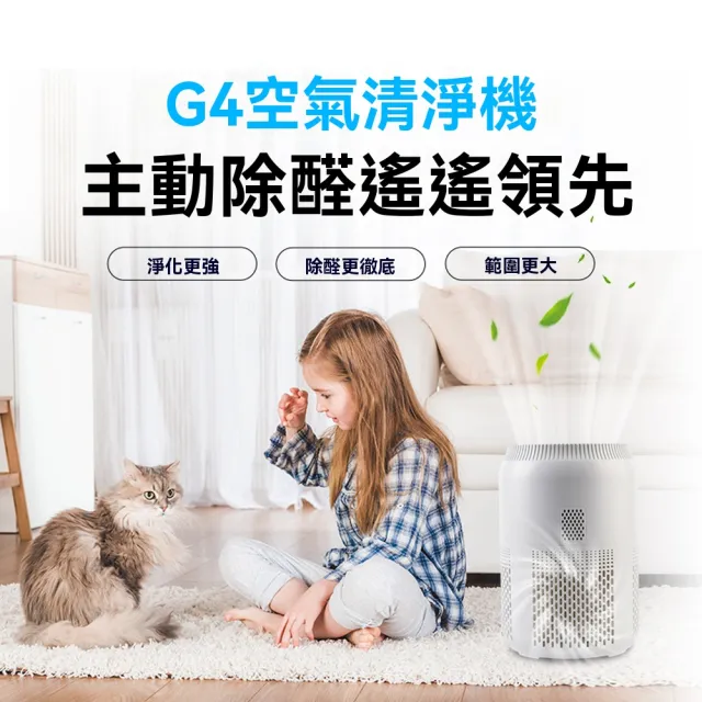 【Felsted 菲仕德】臭氧機 60g臭氧發生器 臭氧除醛儀 殺菌臭氧機 空氣清淨機 祛甲醛/除異味/空氣淨化