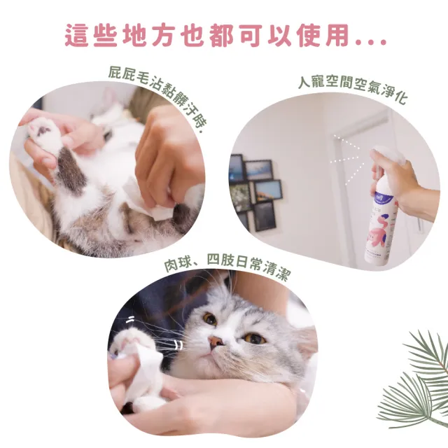 【光能淨】貓咪專屬！瞬效去味除菌噴霧600mlx2-防蚤雪松(抗菌除臭 肌膚護理 防蚤驅蟲 去油清爽)