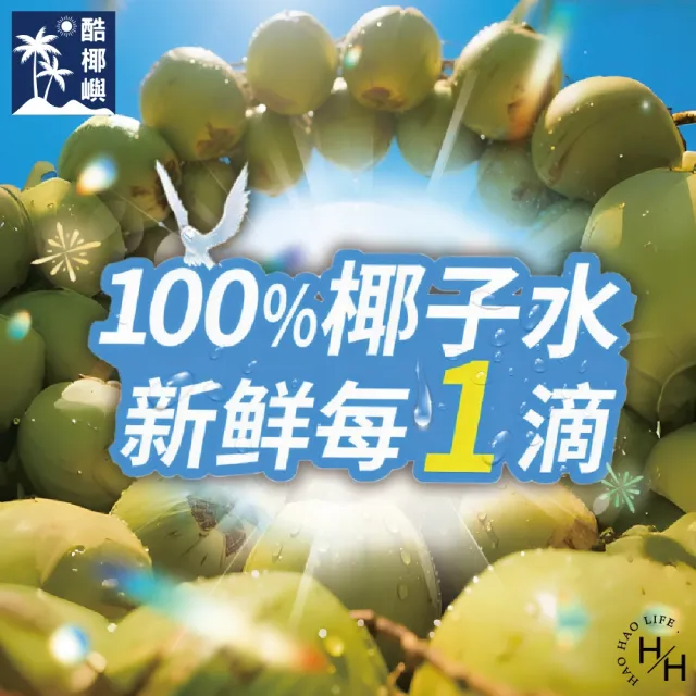 【KOH COCONUT 酷椰嶼】純椰子水(250毫升x24入/箱)