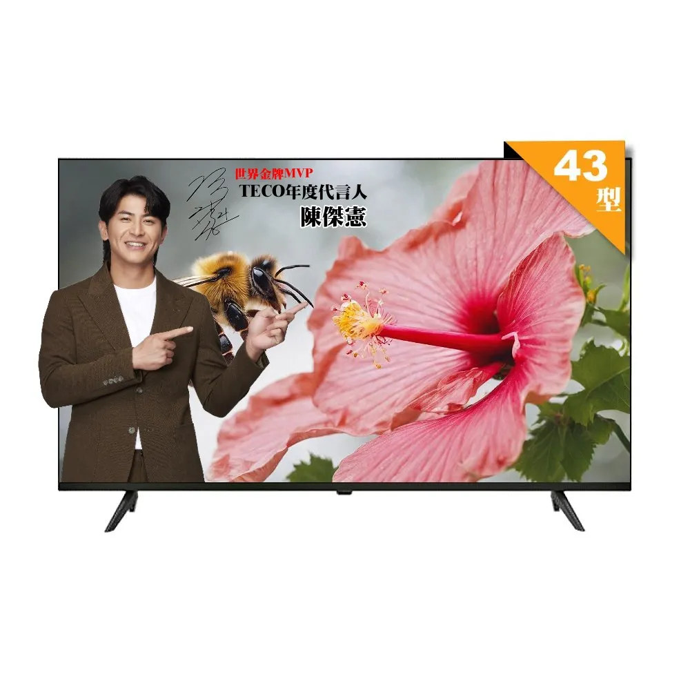 【TECO 東元】43吋FHD低藍光液晶顯示器(TL43A10TRE 福利品)