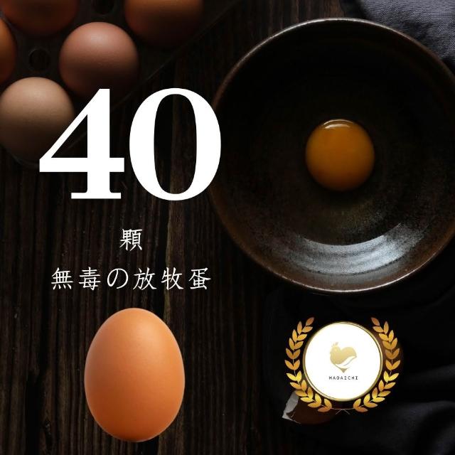 【好愛雞HAOAICHI】無毒の放牧蛋 紅殼 小家庭4盒 共40顆(10顆/盒 非籠飼無藥殘無毒飼料 雞蛋 雙11隱藏賣場)