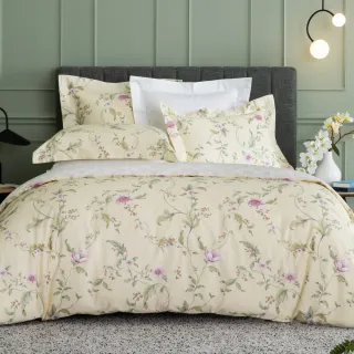 【WEDGWOOD】100%長纖棉印花 薄被套床包枕套四件組(加大任選｜60支300織)