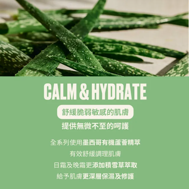 【THE BODY SHOP 美體小舖】蘆薈舒緩體香劑2入組(50ml*2)