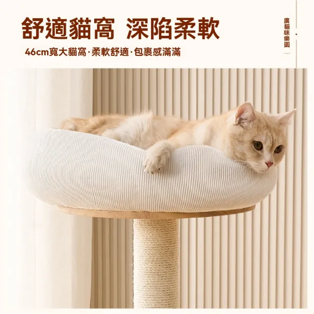 【佳美多】多規格一體式貓爬架 大型板材貓抓板 貓咪玩具 多功能貓咪架子(耐用 易清潔 板材 堅固 麻繩柱)