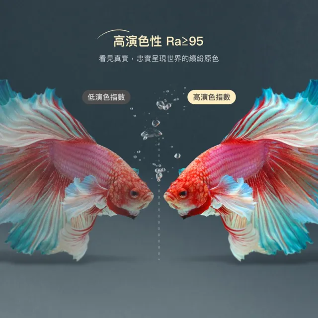 【CHIMEI 奇美】LED智慧感光螢幕掛燈(LT-S05MLC)