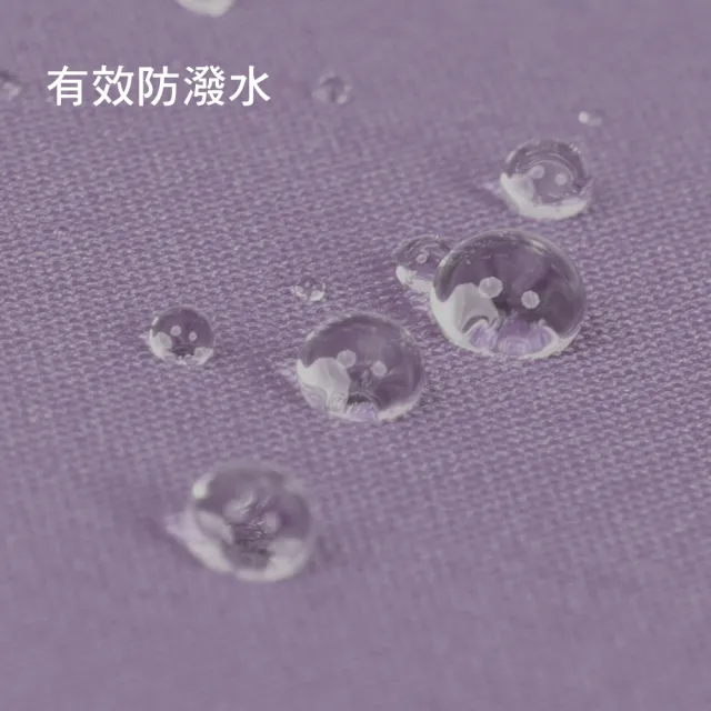 【雨傘王】2入組 BigPurple 直傘 輕量 自動傘 防風  防潑水 58CM 高CP值 58CM(超值款無維修)