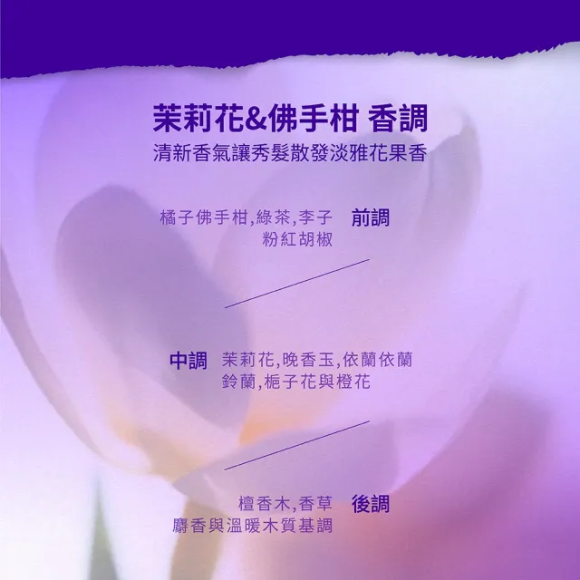 【miseenscene 魅尚萱】官方直營 完美直順洗髮精530ml/護髮霜230ml(多款任選)